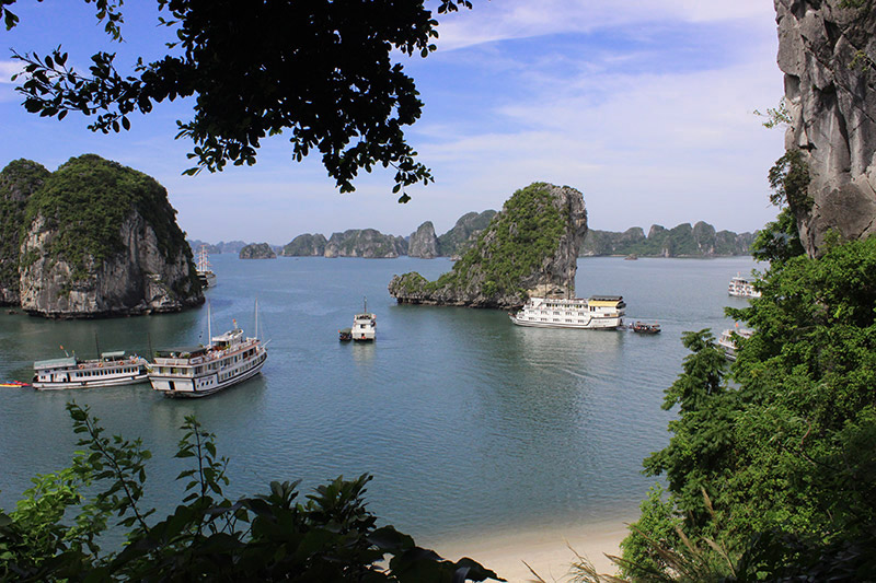 Blog du lịch Hạ Long, tour trải nghiệm, chỉ đọc thôi đã muốn xách balo lên đường